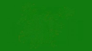 ФУТАЖ НА ЗЕЛЕНОМ ФОНЕ  ХРОМАКЕЙ  ДЛЯ МОНТАЖА ВИДЕО