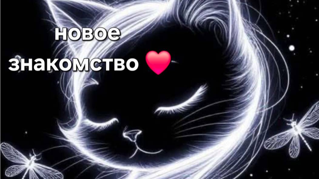 Новое знакомство смотреть онлайн