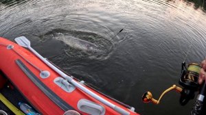 СОМ на КВОК на 4 метрах 0.5-22 кг-- 2 Августа