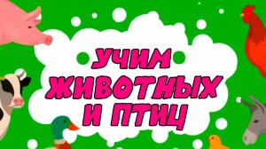 Учимся говорить по картинкам