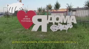 Квартира_45 м2_ЖК Новое Гололубево