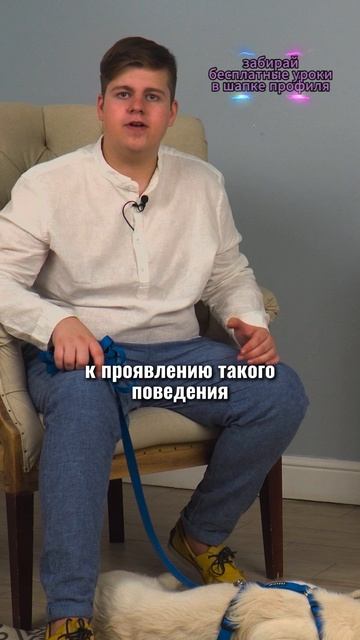 🎁Бесплатные уроки. Жми сюда! смотреть онлайн