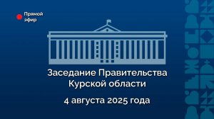 Заседание Правительства Курской области. 4 августа 2025 года