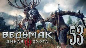 Ведьмак 3: Дикая Охота (The Witcher 3: Wild Hunt). МАСТЕР-БРОННИК #53