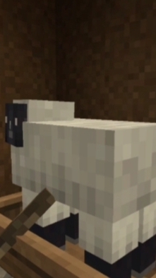 описание съел вентилятор