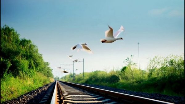 "По тундре, по железной дороге..."  Шансон, дворовая песня.