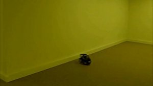 Backrooms 5 - The rope