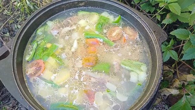 Шурпа августовская со своими овощами