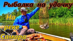РЫБАЛКА НА УДОЧКУ НА РЕКЕ САМАРА/ЛОВЛЯ В ПРОВОДКУ/ЛЕТНЯЯ РЫБАЛКА/РЫБАЛКА В САМАРЕ/ГУСТЕРА/ПОПЛАВОК