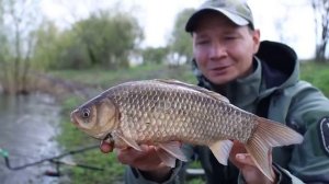 Огромный карась на донку, тут ЖОР рыбалка весной 2025