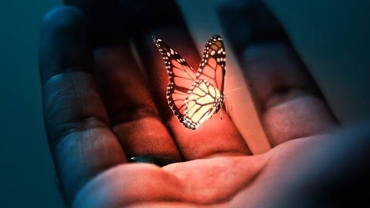 Алмазы смотреть онлайн