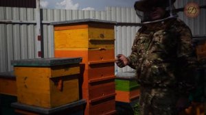 РАБОТА ДИАФРАГМЫ