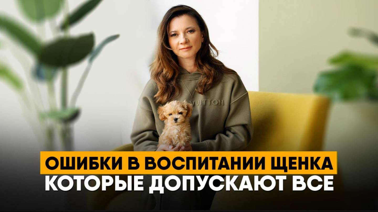 Как правильно воспитать щенка. Советы по дрессировке, комфорту и безопасности. смотреть онлайн