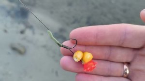 На Дон за сазаном. Рыбалка с ночевкой.