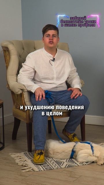 🎁Бесплатные уроки. Жми сюда! смотреть онлайн