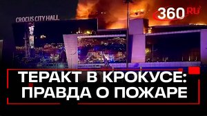Почти половина жертв теракта в «Крокусе» погибла от пожара