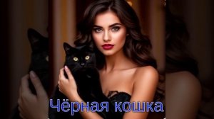 Чёрная кошка