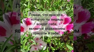 Красота внутри тебя!