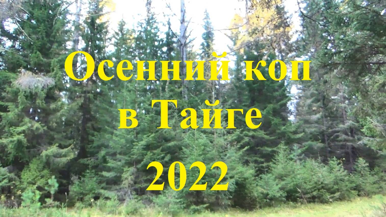 Осенний коп в Тайге 2022
