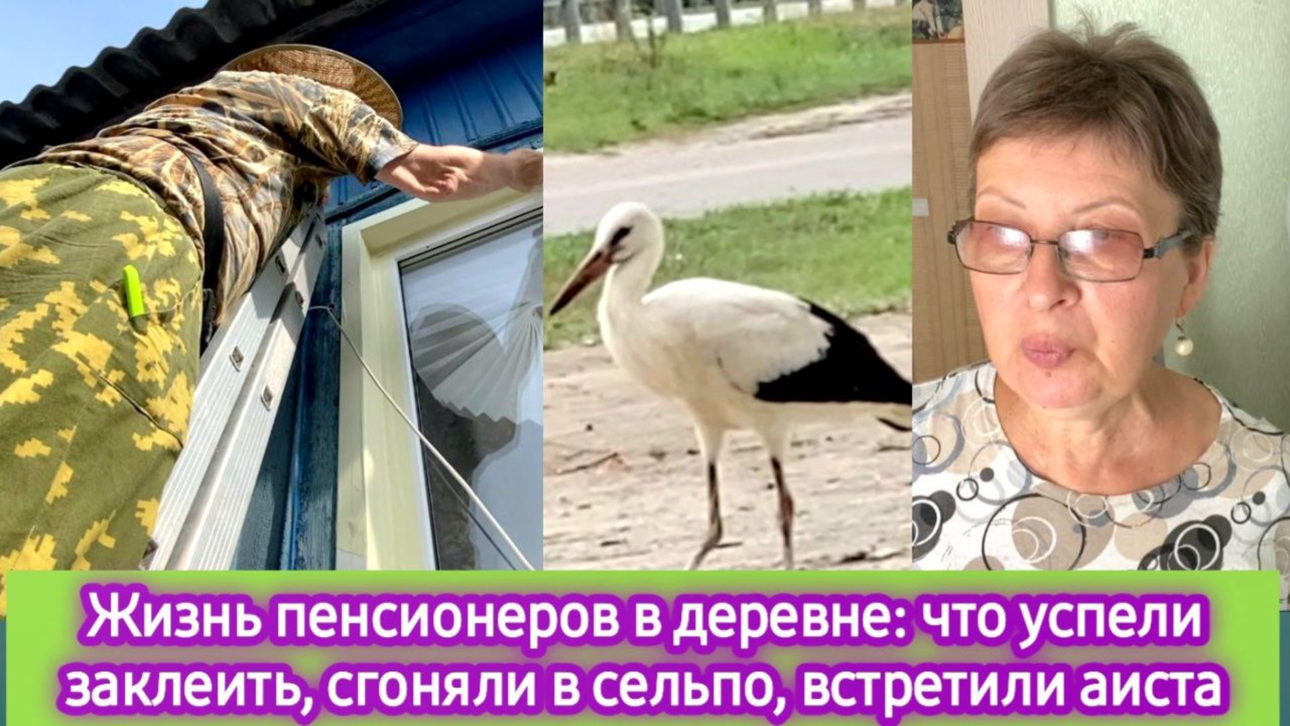 Жизнь на пенсии в деревне: что успели заклеить, сгоняли в сельпо, встретили аиста, наши покупки смотреть онлайн