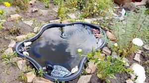 не батареек ни проводов не надо. фонтанчик для прудика на солнечных элементах