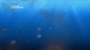 Путешествие к центру Земли