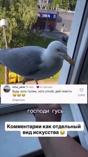 Гусь 🤣