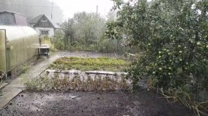 3 АВГУСТА. ВЯТКА. ДОЖДЬ☔💦🌂 С ГРАДОМ