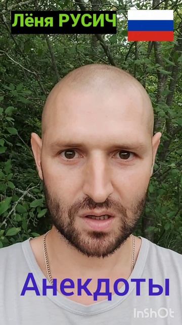 Анекдот про зайца, волка и медведя .