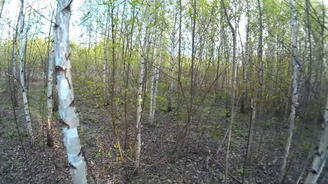 Выживание Отшельника Бродяги в глухих сибирских лесах в лачуге смотреть онлайн