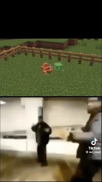 1000011288.mp4 лягушка санс