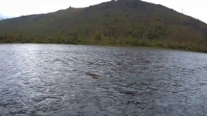 Рыбалка на хариуса на реке Бирюса