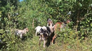 Не удобно жить с одной рукой