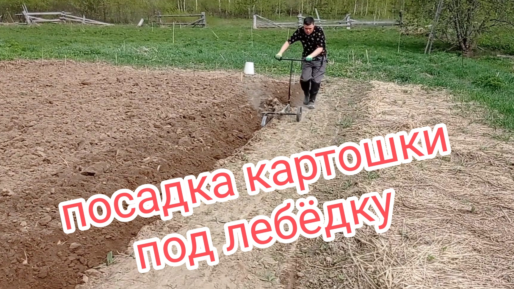 Посадка картошки под лебёдку