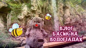 ✔👀😹 БАСИК ВЛОГ НА ВОДОПАДАХ 😻😺🙀 БАСИКА УКУСИЛА ПЧЕЛА ?