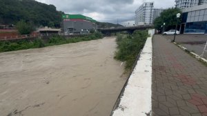 После смерча в горах Ольгинка август 2025