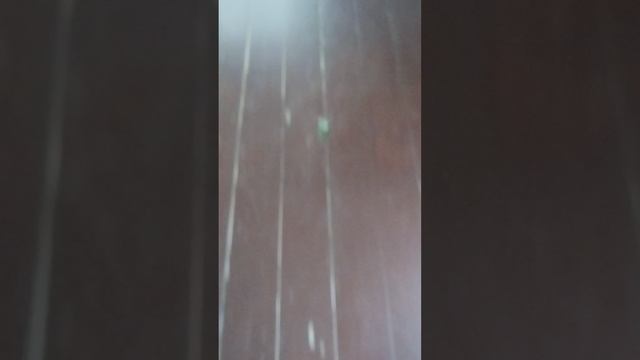 дневной сон Евы и Матвея❤️