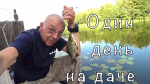 Жизнь на даче рыбака-блогера. Ловим карасей и поливаем огурцы.