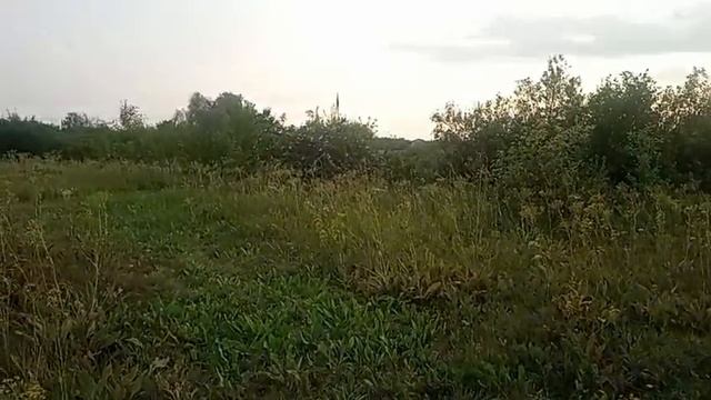 1c245392-135f-4b5d-acfe-9701acc6cfba смотреть онлайн