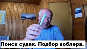 Верховой троллинг.  Подбор воблера под условия.