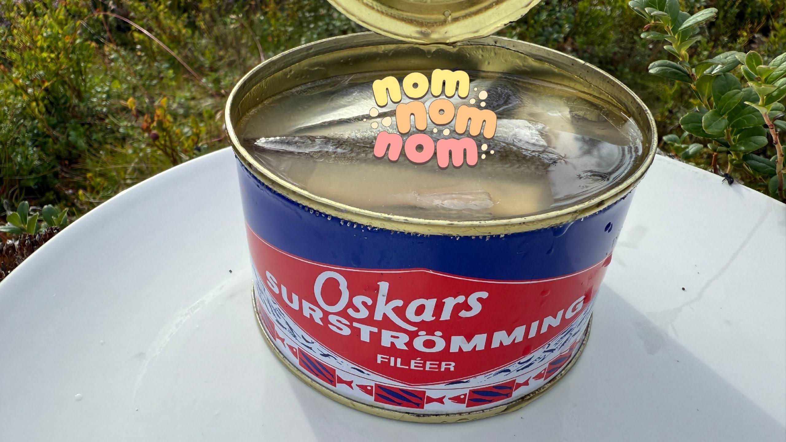 Surstromming. Самый честный обзор на сюрстрёмминг.