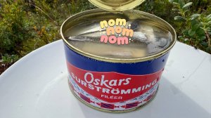 Surstromming. Самый честный обзор на сюрстрёмминг.