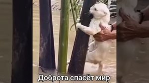 интересное видео