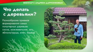 Что делать с деревьями? Вебинар с мастером Ниваки и Бонсай