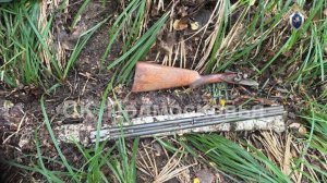 Житель Балашихи застрелил девушку из ружья и выбросил тело в реку