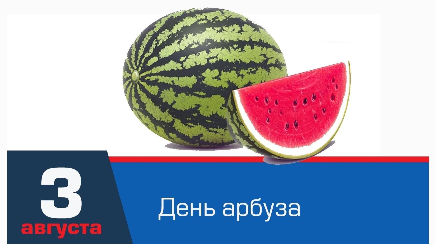 03.08.25 - День арбуза смотреть онлайн