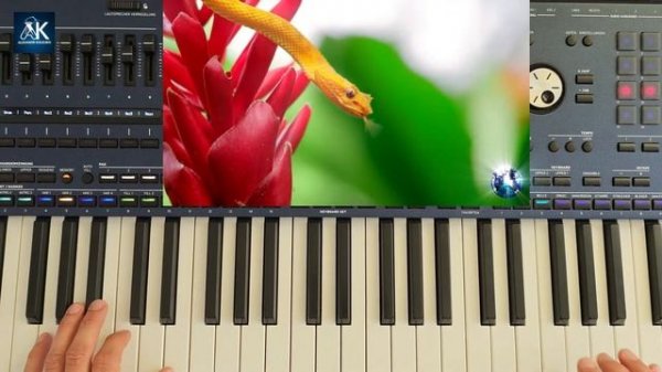 "ДИКАЯ ПРИРОДА" - Alexandr Koleukh & KORG (2025)