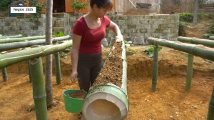 Дорис 37. Техника выращивания растений в бамбуковых тубах