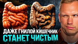 Молодой КИШЕЧНИК — 4 суперпродукта, которые НЕ едят 96% людей