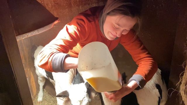 3 дня не было электричества! Буржуй начал самостоятельную жизнь